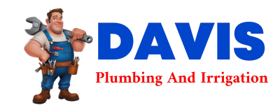 Trusted plumber in DEVILLE